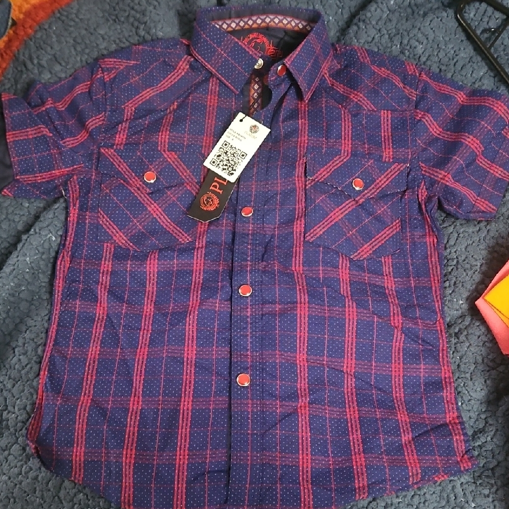 Blue and Pink Button Down Shirt with Classic Plaid Design